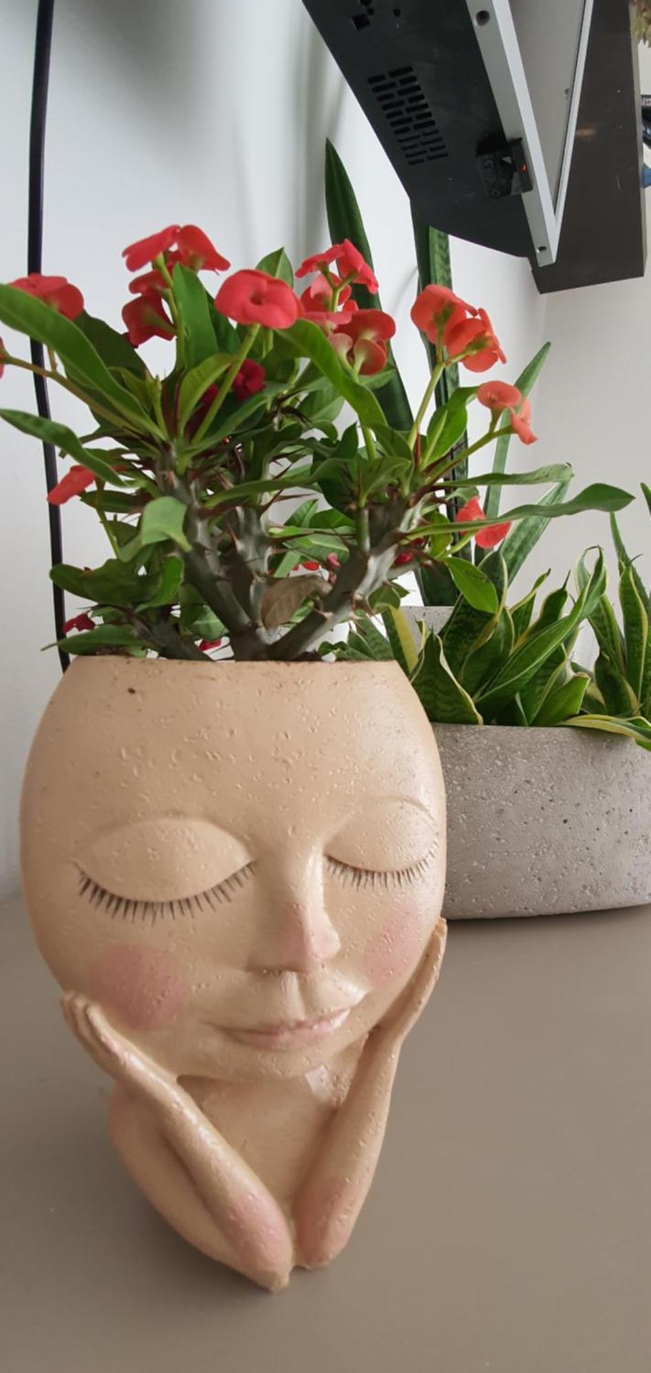 Apartment Cactus - New 3bd 2br